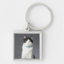 Search for white cats key rings Close up