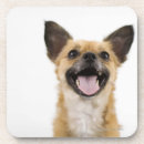 Search for office humour coasters Photography