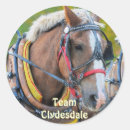 Search for draught horse stickers Clydesdale