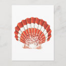 Search for scallops postcards Seashells