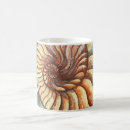 Search for fossils mugs Ammonite