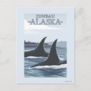 Search for juneau alaska postcards Collection