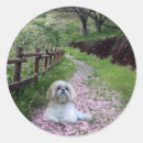 Search for purple flowers stickers Dog