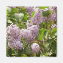 Search for beautiful spring magnets Floral