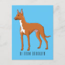 Search for breeds vertical postcards Pets