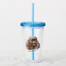 Search for chimpanzees drinkware Primate