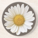 Search for daisy coasters Daisies