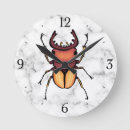 Search for stag clocks Wildlife