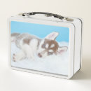 Search for husky lunch boxes Puppy