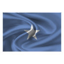 Search for somalia art Flag of somalia