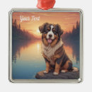Search for bernese mountain dog christmas tree decorations Dogs