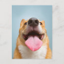 Search for getty postcards Animals