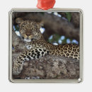 Search for kenya christmas tree decorations Animal