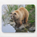 Search for wildlife mouse mats Photograph