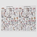 Search for mushroom tissue paper Antique