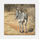 Search for kenya Animal
