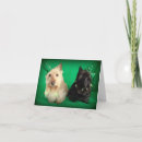 Search for funny st patricks day cards Shenanigans