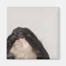 Search for contemplation magnets Animal