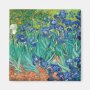 Search for lily magnets Blue