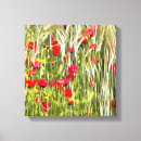 Search for corn art Poppy