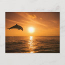 Search for dolphin jumping postcards Outdoors