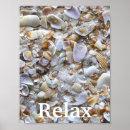 Search for florida seashells art Vacation