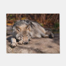 Search for timber photography Wildlife