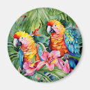 Search for parrots magnets Yellow