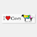 Search for bbq bumper stickers Cow