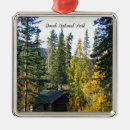 Search for denali national park christmas tree decorations Nature
