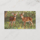 Search for fawn business cards Nature