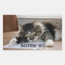 Search for musical cat stickers Animals
