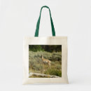 Search for pronghorn accessories Animal