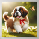 Search for bernards posters St bernard