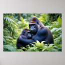 Search for gorilla posters Animal