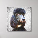 Search for collar canvas prints Black