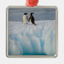 Search for antarctica christmas tree decorations Iceberg