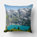Search for alpine cushions Alps