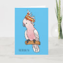 Search for majors cards Cockatoo