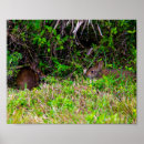 Search for cute rabbits posters Animal