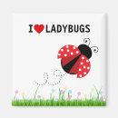 Search for collector magnets Flowers
