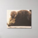 Search for sea otter canvas prints Animals in the wild