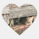 Search for sweet cat stickers Red