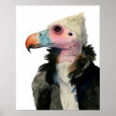 Search for predatory posters Wildlife