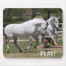 Search for andalusians mouse mats Andalusian horse