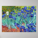Search for vibrant posters Irises