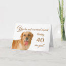 Search for funny 40th birthday cards Labrador