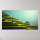 Search for rice art Nature