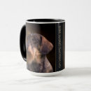 Search for purebred mugs Dog