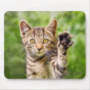 Search for neko mouse mats Cute